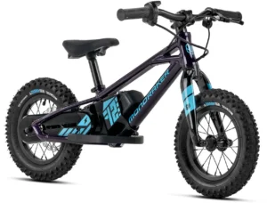 Mondraker GROMMY 12